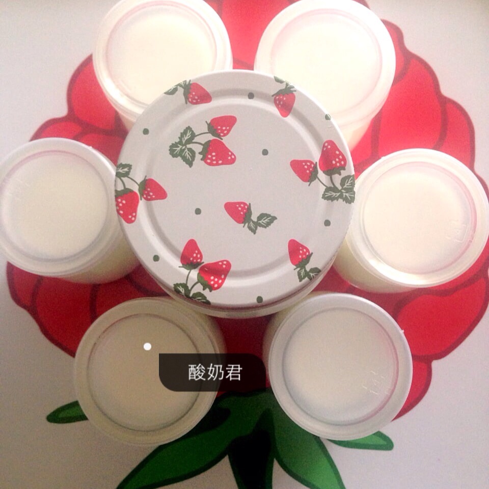 酸奶机自制酸奶