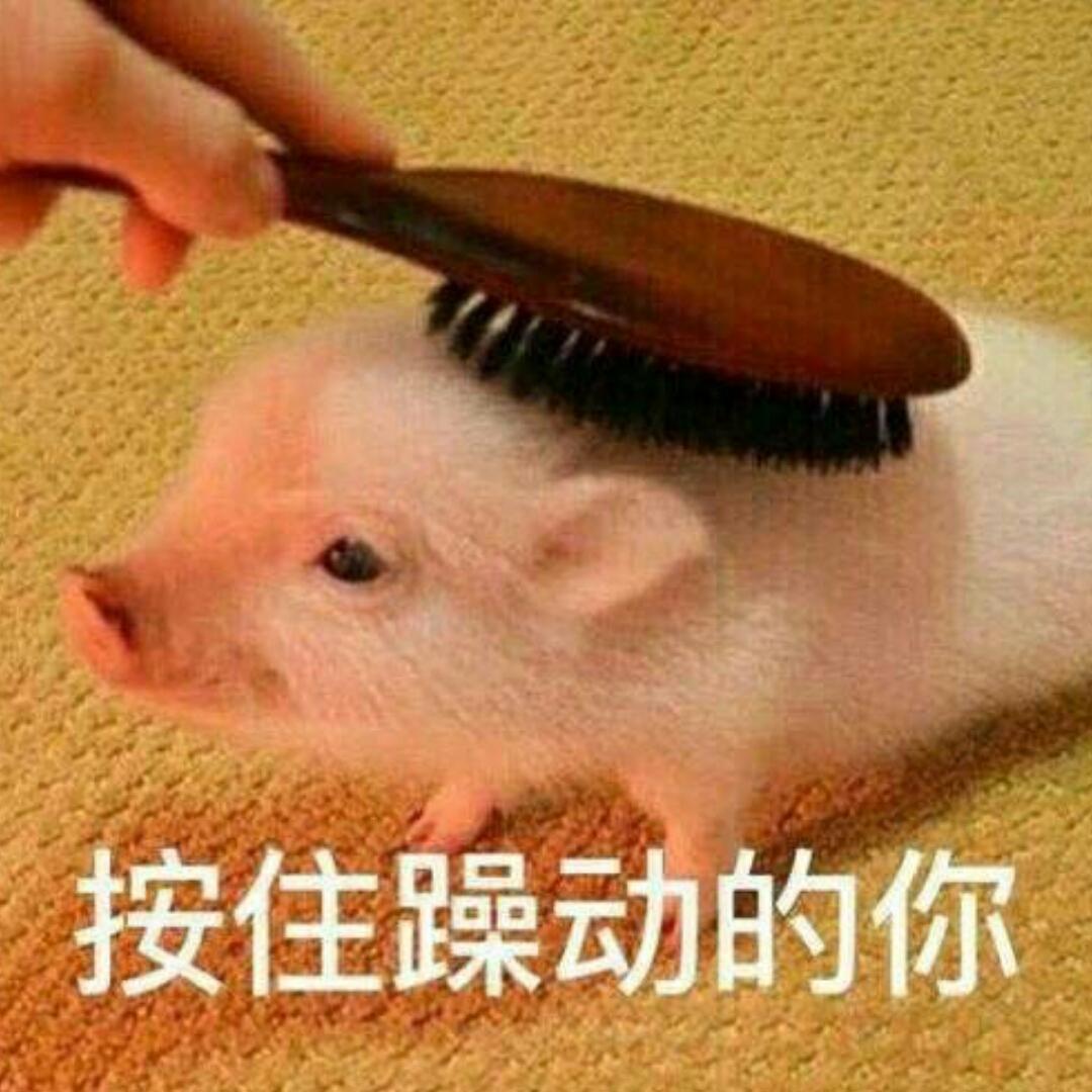 嘟一嘟哒哇呜哇