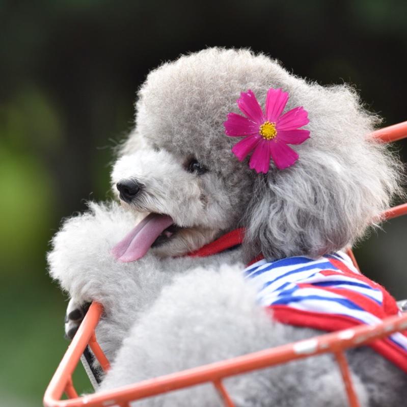 小米姐私房菜的厨房