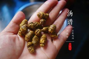 非常适合秋季饮用的滋阴润燥玉竹石斛鸡汤的做法 步骤3