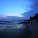 爱吃辣的小鱿鱼