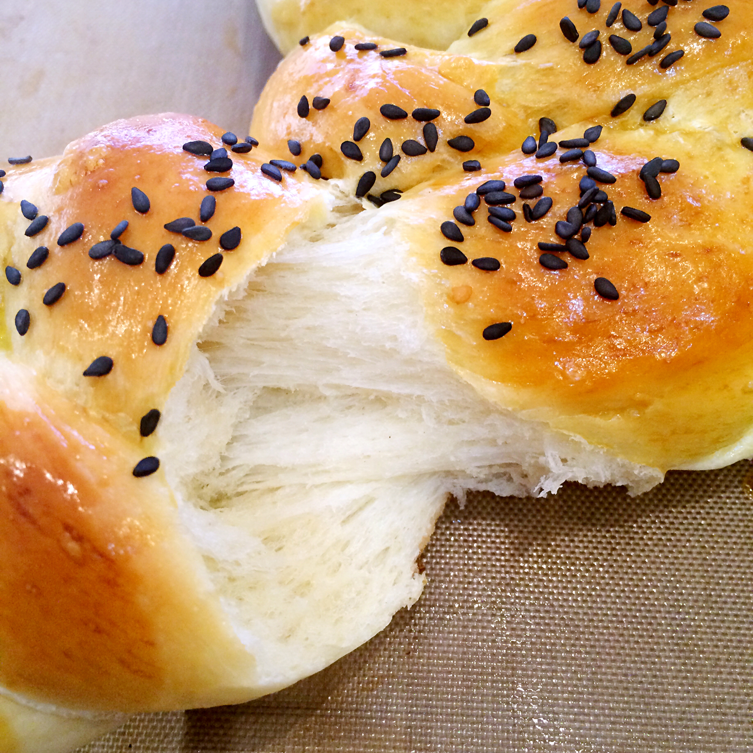 鲜奶油小餐包（一次发酵）