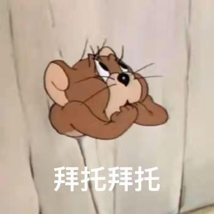 Scarlett_8wdq