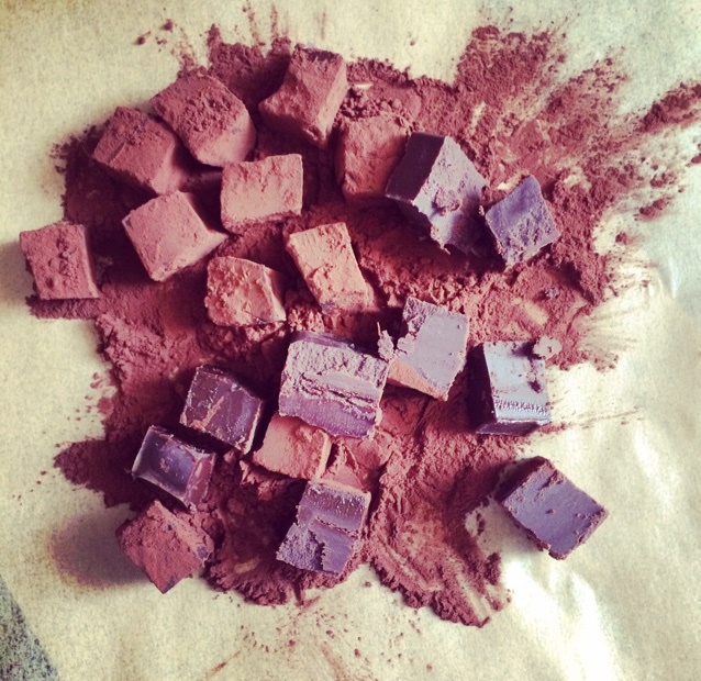 小嶋老师的生巧克力