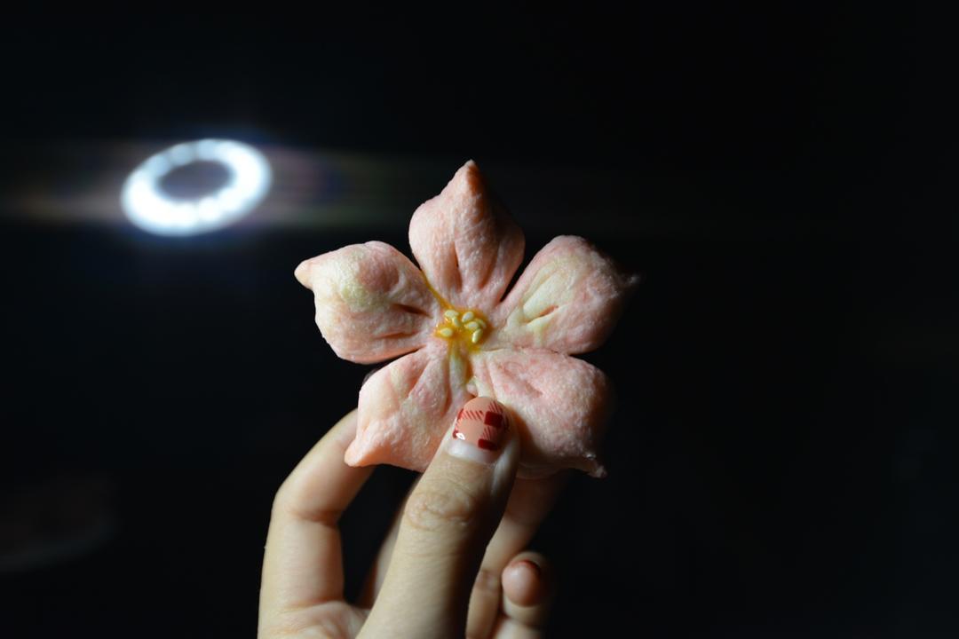 樱花酥🌸