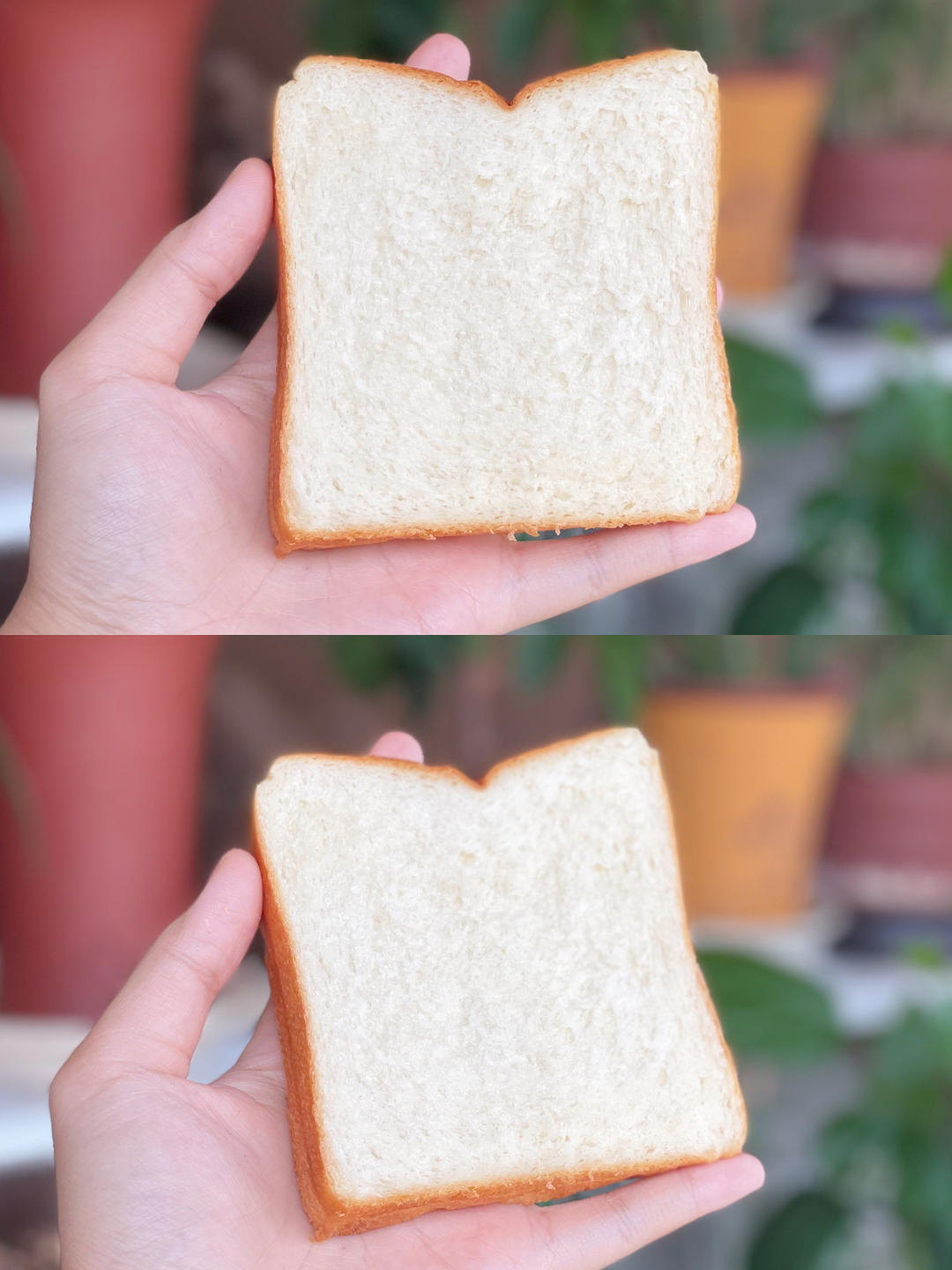 好吃到犯规的网红「生吐司」