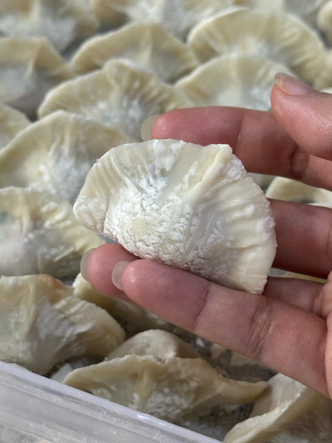 鲜肉饺子🥟（精细算法，不浪费）