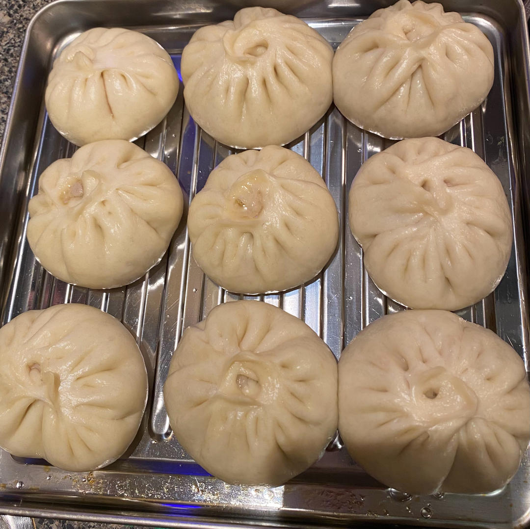 牛肉茴香包子