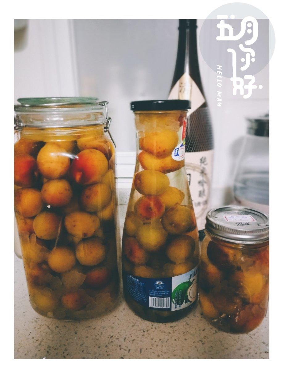 【青梅酒】梅子的沉醉时光（已填坑）