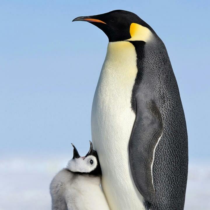 爱烹饪的欢乐多味豆