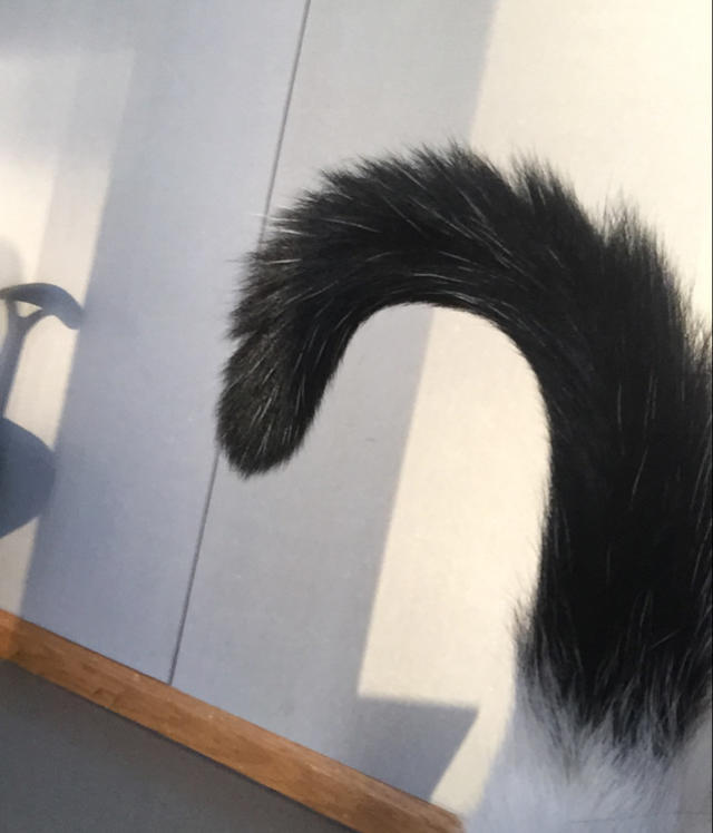 kamasiki