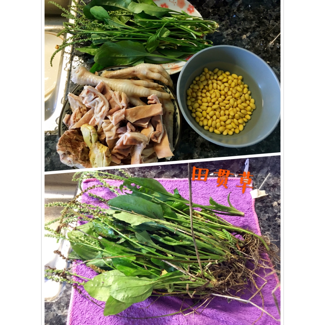 田贯草煲猪小肚