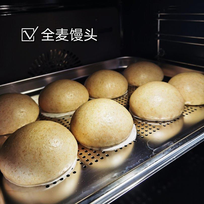 全麦馒头（一次发酵）