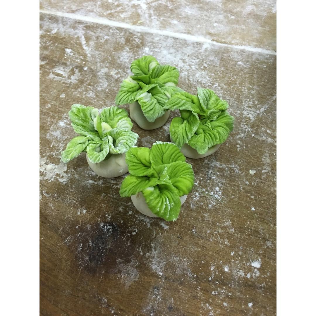 花式馄饨花式饺子花样馄饨花样饺子