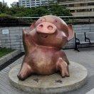 南昌阿宏