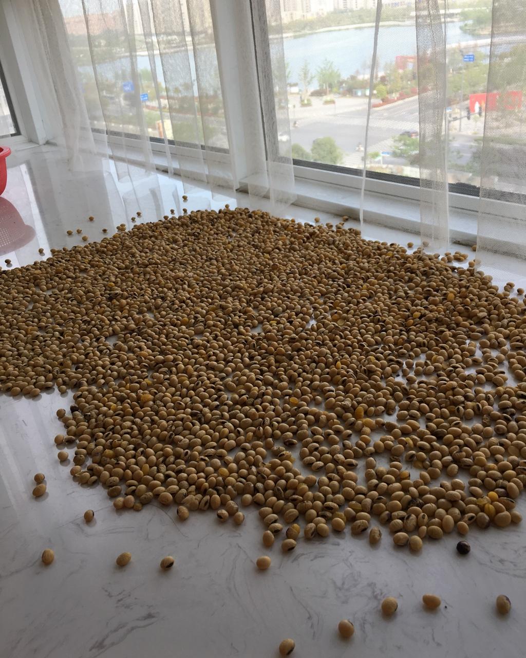 夏仲石做的2018年04月21日