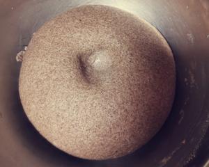 可盐可甜纯黑麦粉手揉面包的做法 步骤8