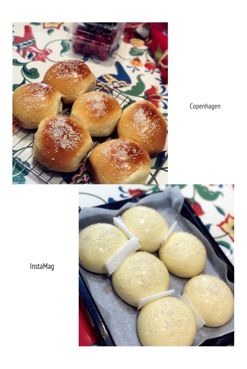 汉堡胚（中种法）