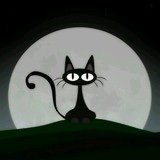 Cindy猫猫