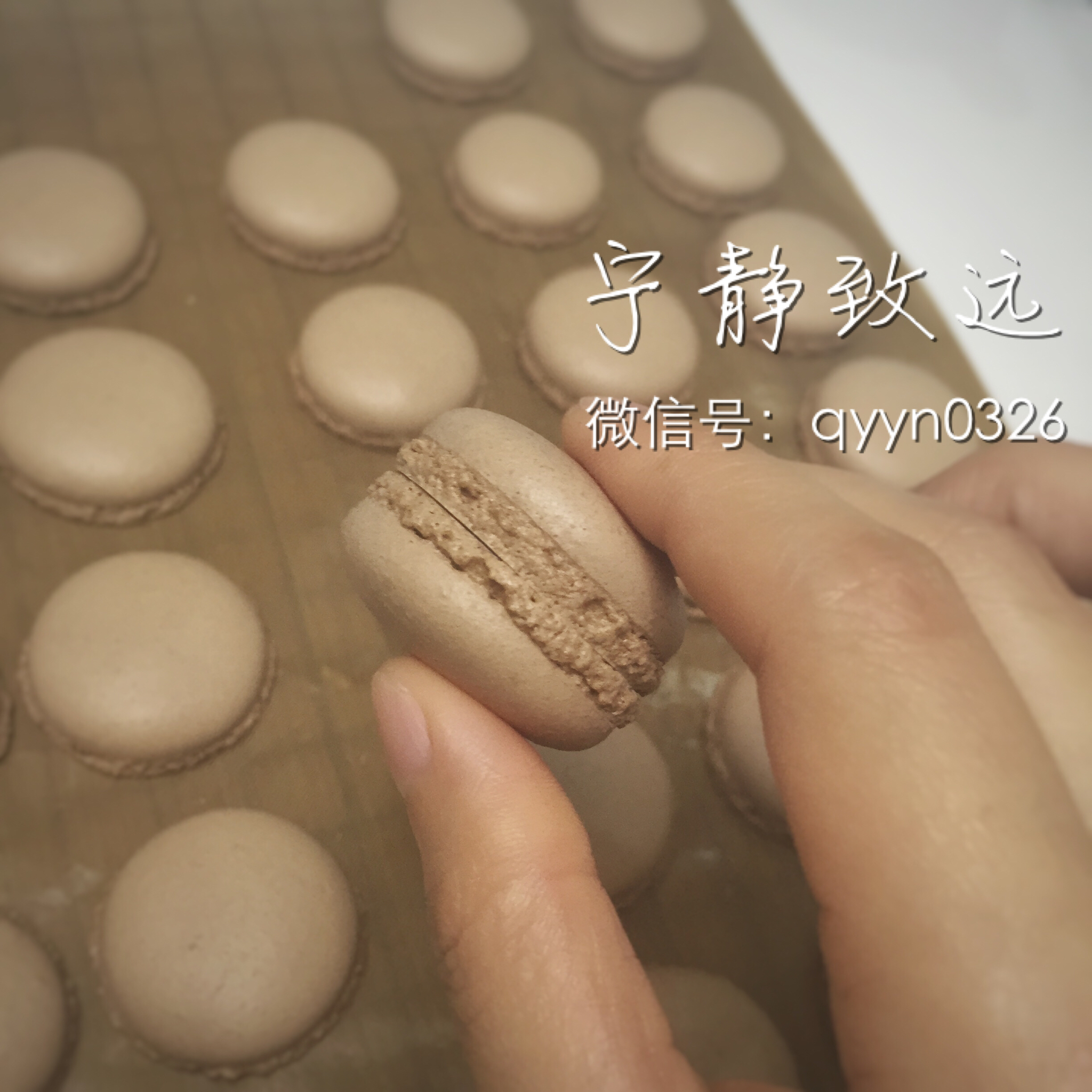 巧克力之恋
