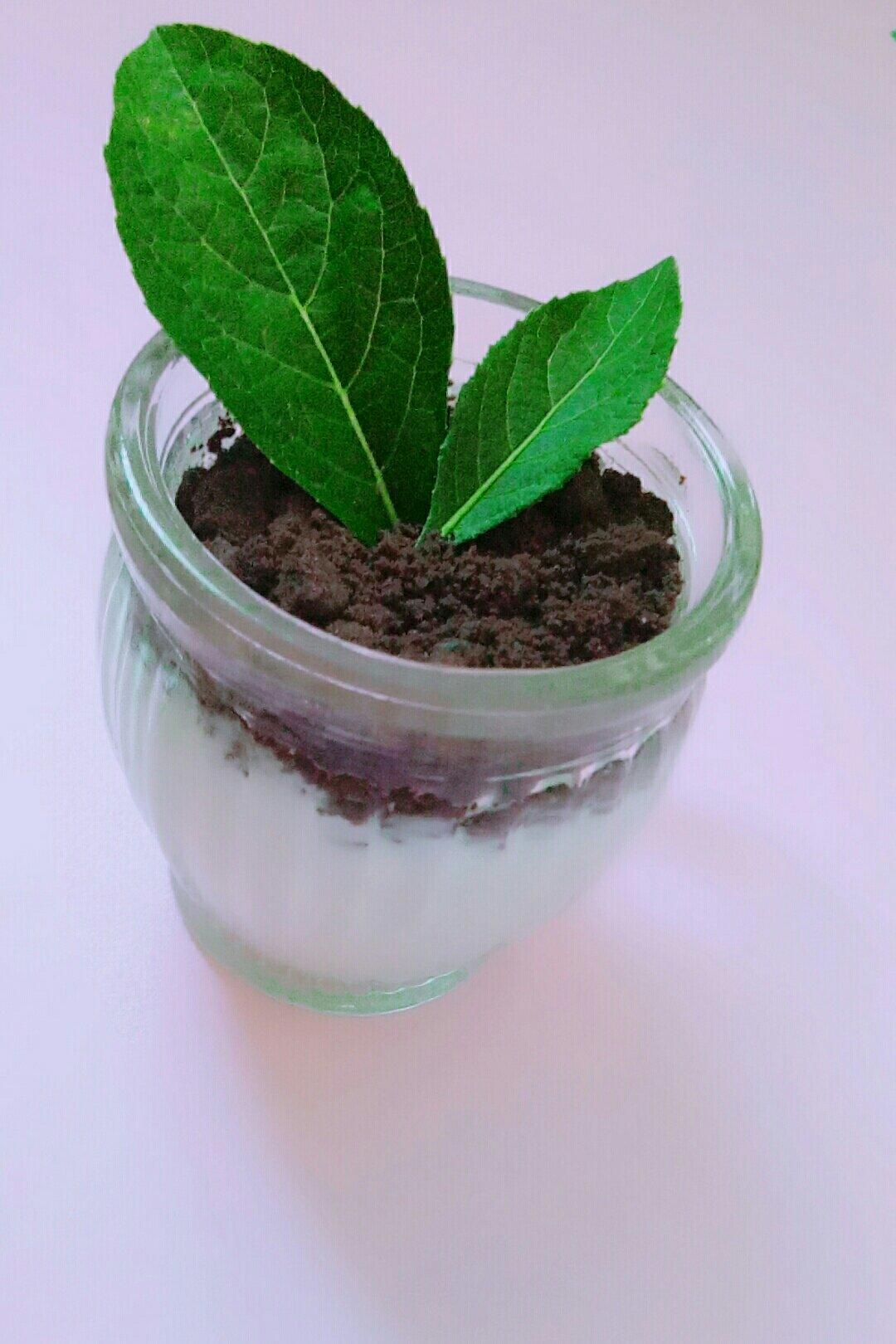 薛了个谦做的盆栽酸奶