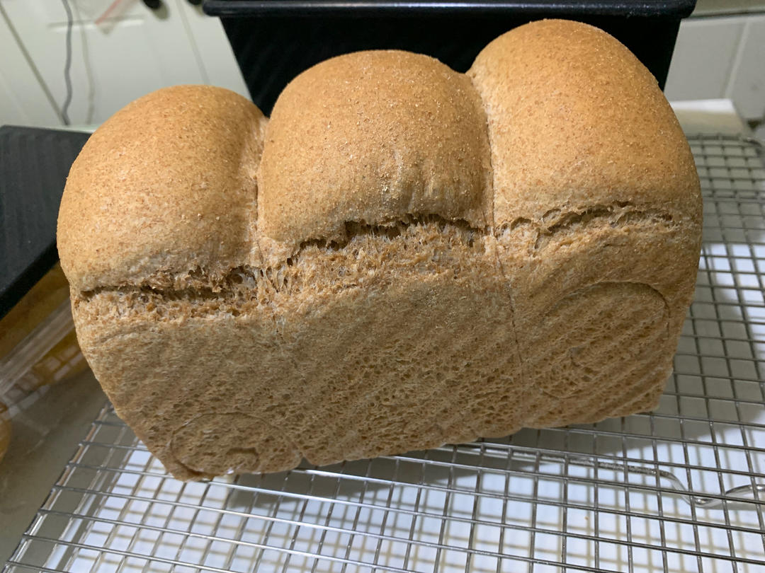 低脂低糖100%纯全麦吐司（减脂配方，发酵却好到不可思议）
