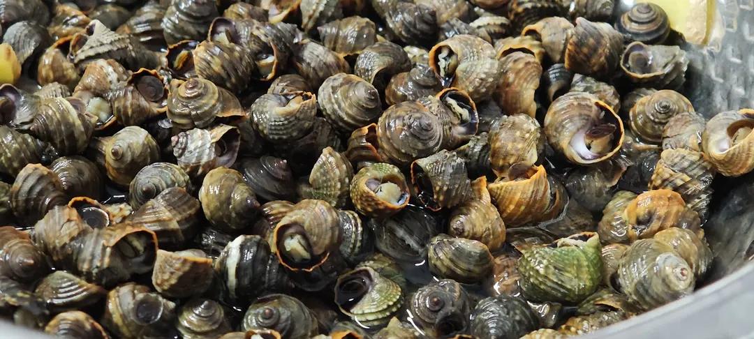 午餐•2026年3月1日