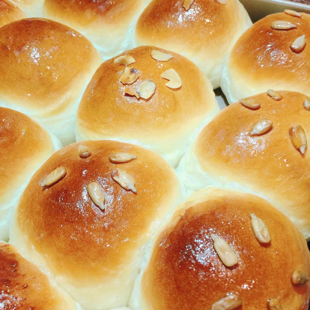 鲜奶油小餐包（一次发酵）