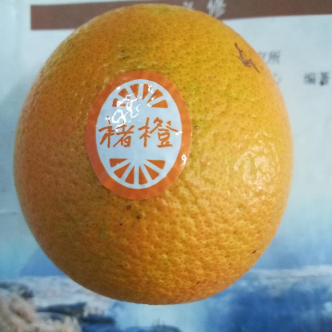 吃货7645_83ow