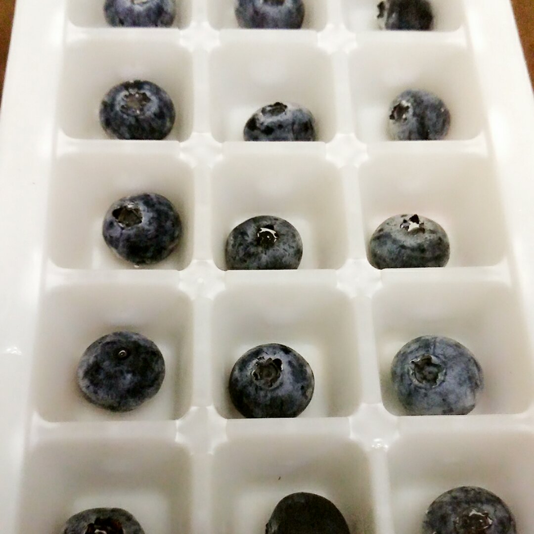 flavoured ice cubes （水果冰）
