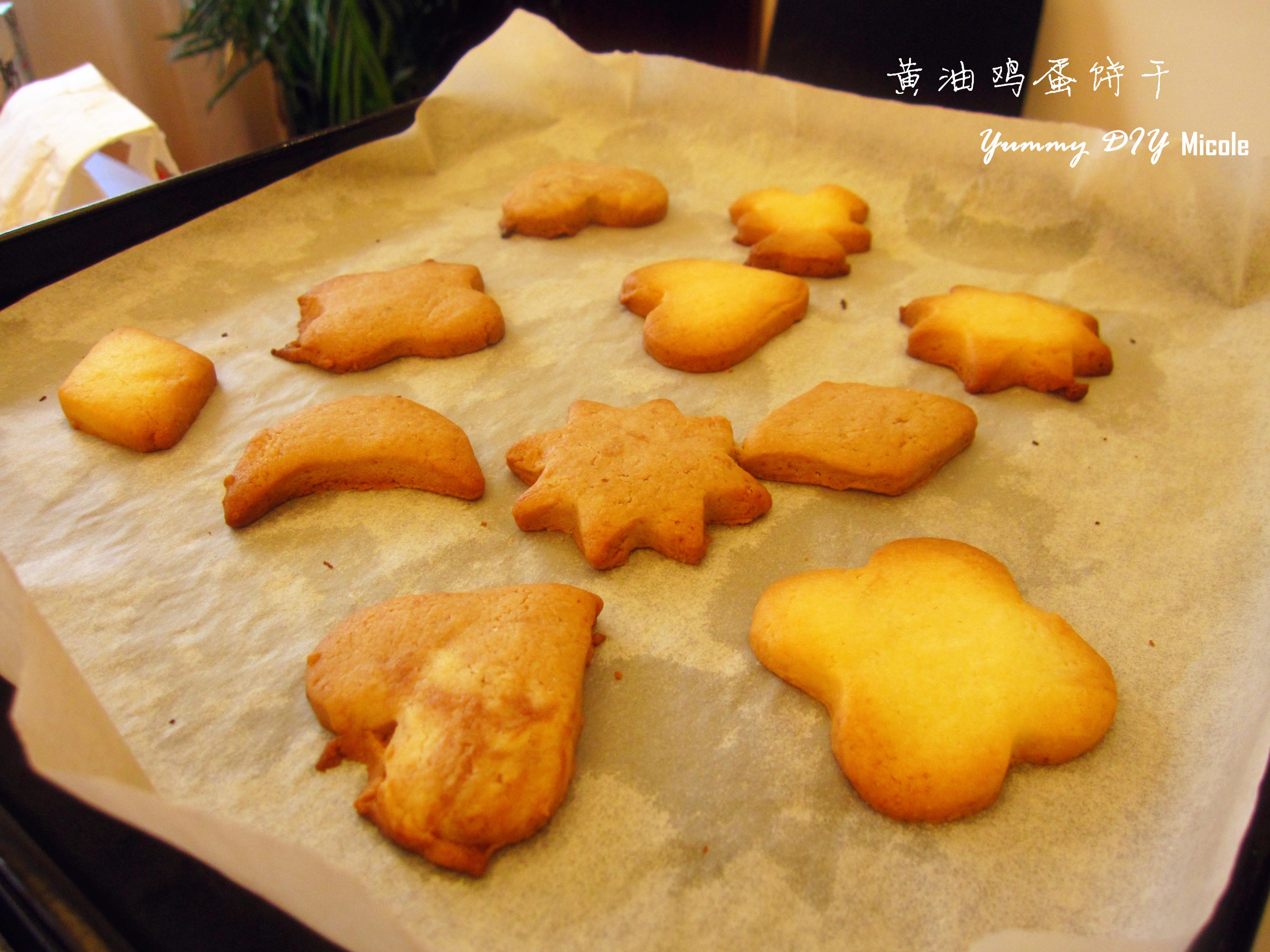 黄油小饼干