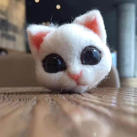 糖糖的牛奶糖