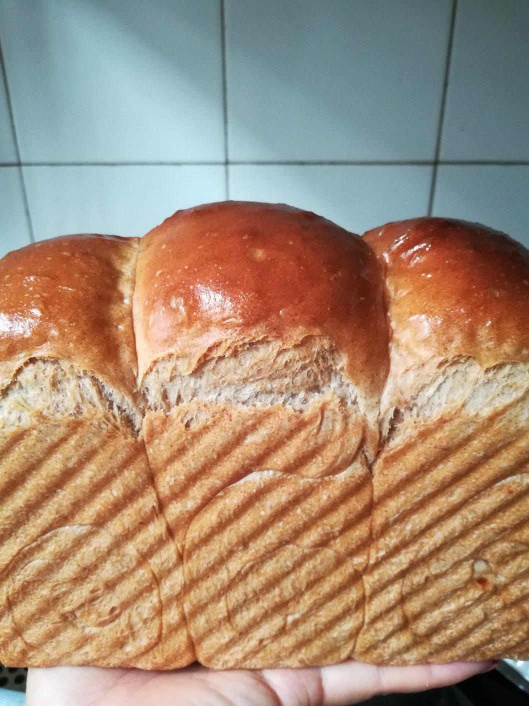 全麦吐司（70%冷藏中种法）