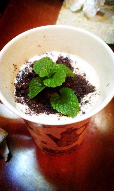 盆栽奶茶