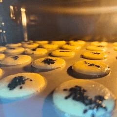 奶香蛋白磨牙饼干