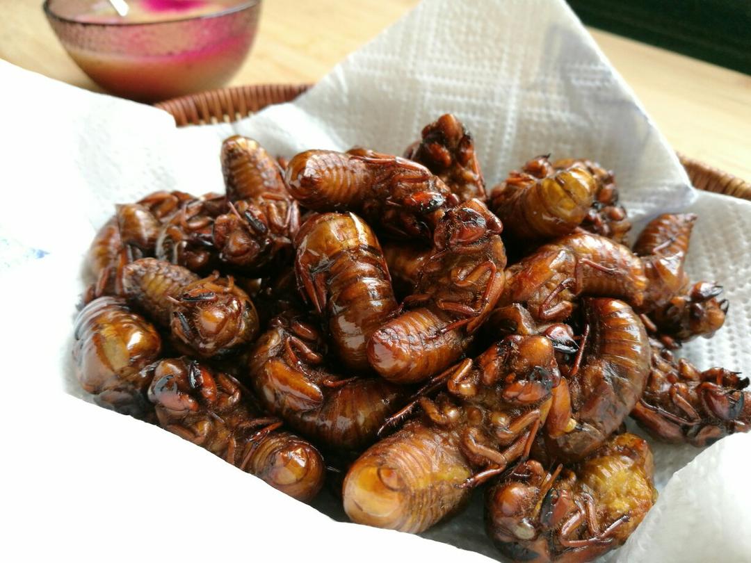 年8月7日#晚餐612018年8月7日#油炸"知了猴",我们这叫"烧钱猴儿"