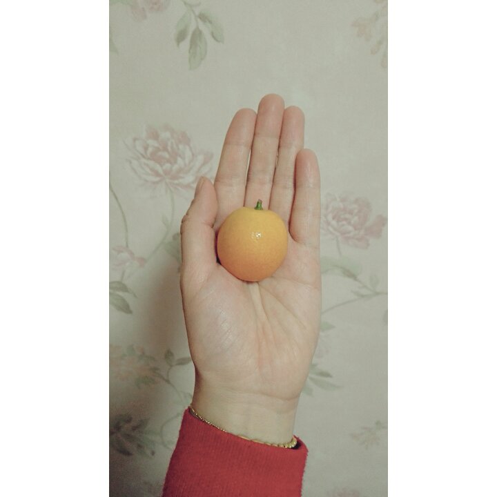我的钱包有个洞！！！