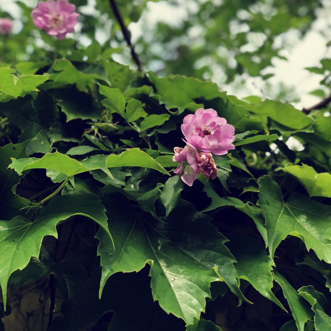 做最好的自己2018