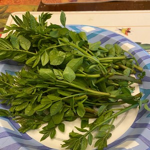 炸花椒芽 美食做法 第5张 炸花椒芽 美食做法 第5张
