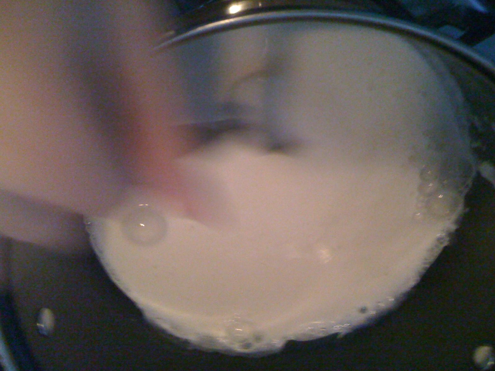 木瓜牛奶冻的做法 步骤4