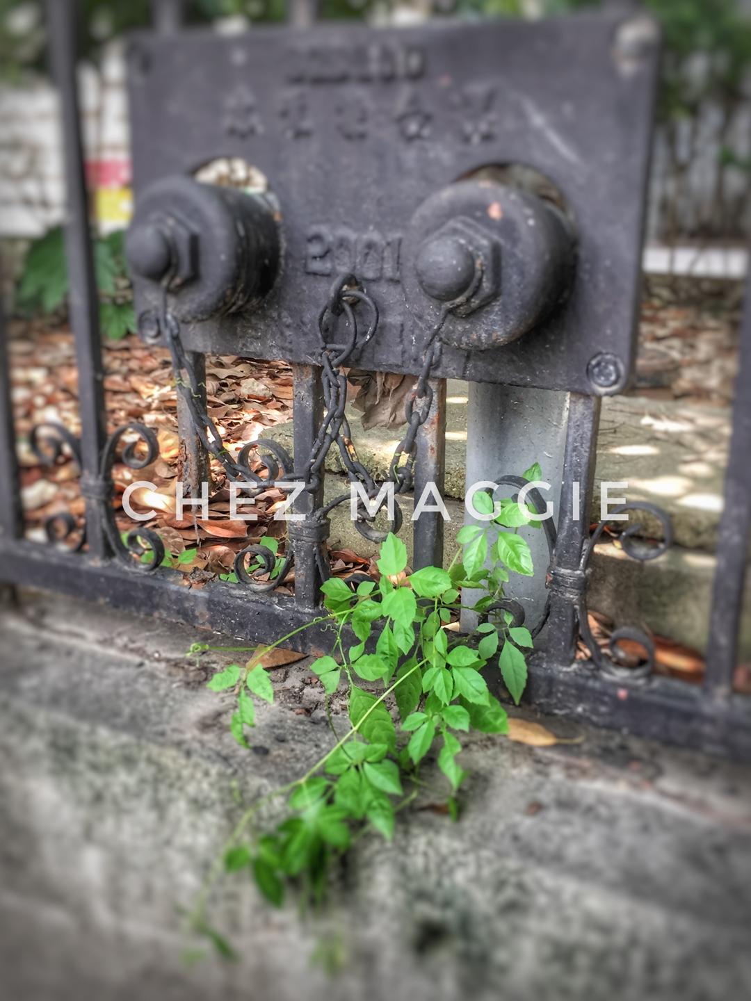 英式糖花的做法