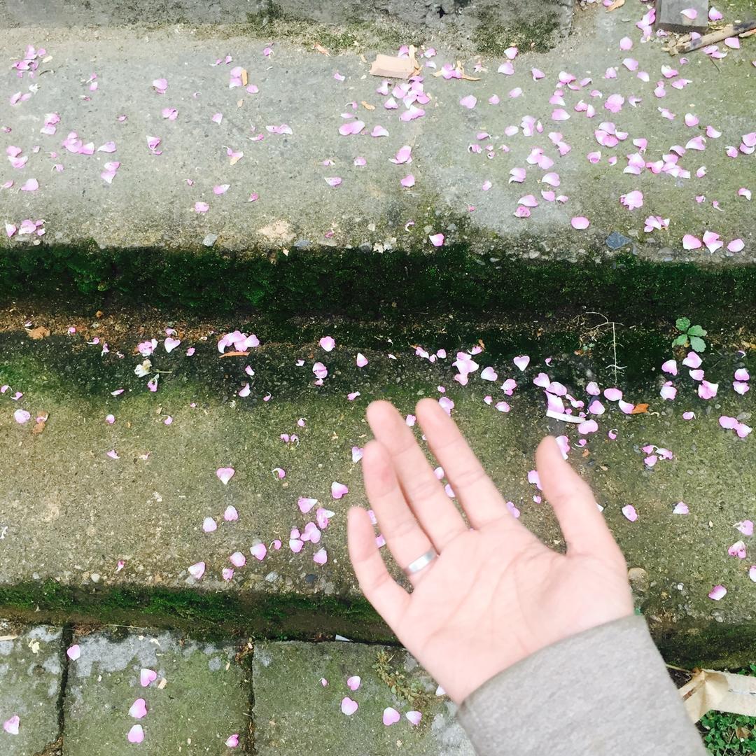 花落生果实，可以吃