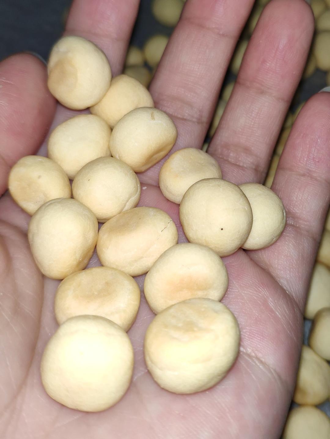 【宝宝辅食】一定要给孩子做一次小馒头、完胜旺仔的那种