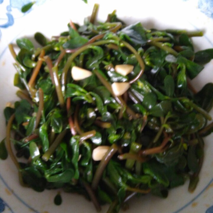 富贵人生491r做的凉拌马马菜(凉拌马齿苋)