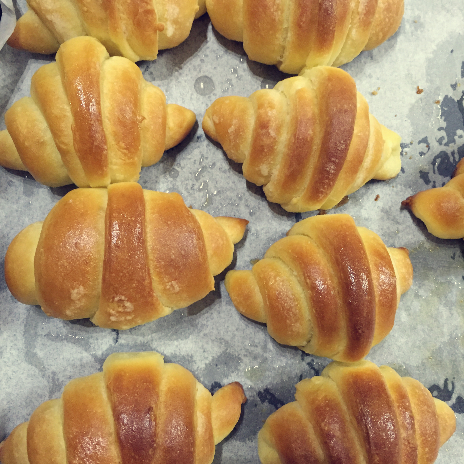 老式油酥面包 Yusu Bread