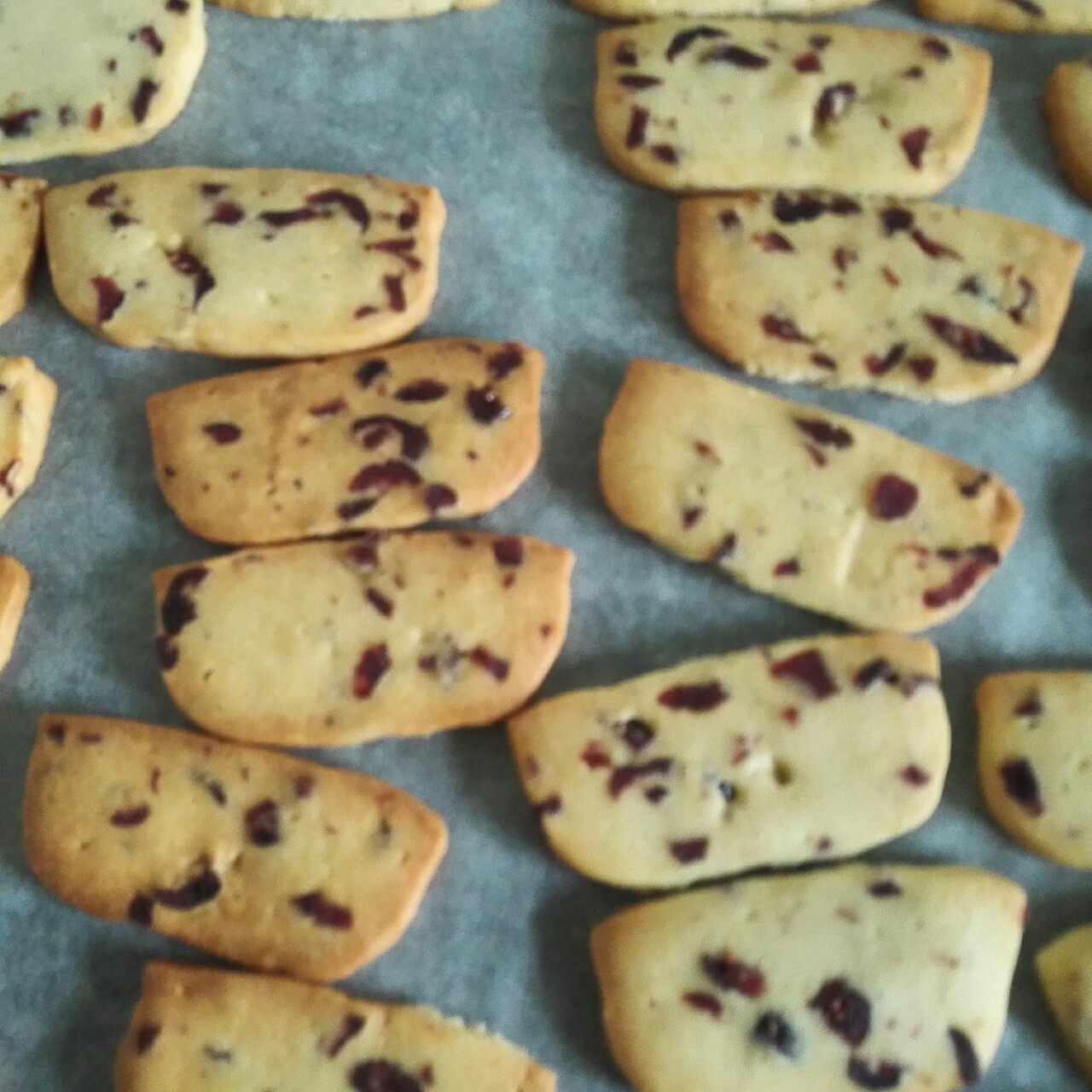 蔓越莓饼干