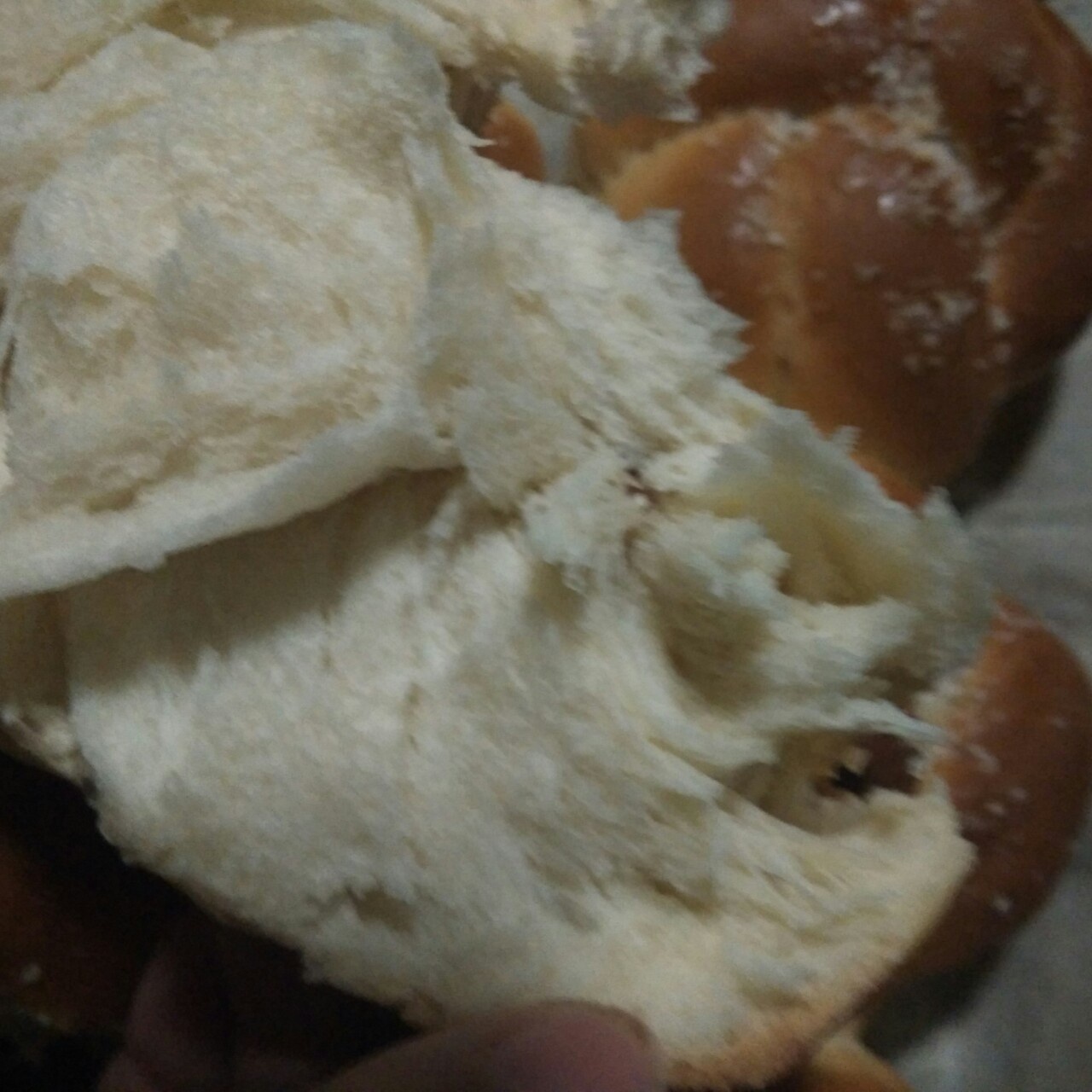 老式面包（玉米油版）