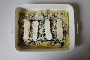 自制白酱菠菜千层面-北鼎烤箱食谱的做法 步骤11