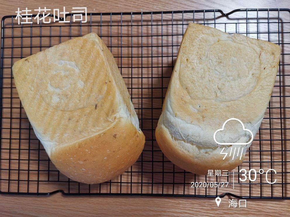2020年的吐司、面包和各种