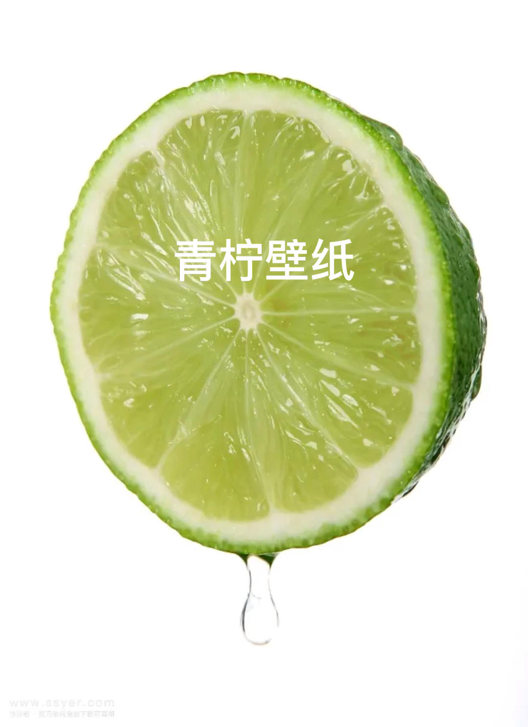 要哪个我发你，记得加我粉丝